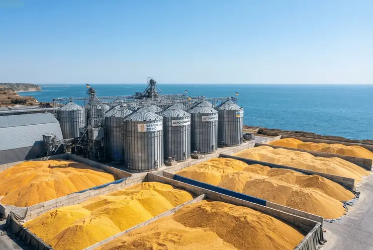 Ukrainische Landwirte verlieren Motivation: Exportblockade gefährdet globale Ernte