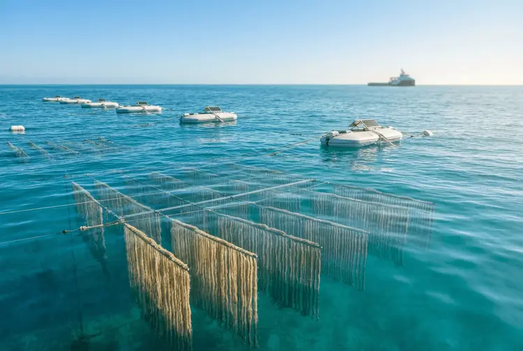 Fluxnium sammelt 7 Millionen Dollar für Uran aus Meerwasser ein