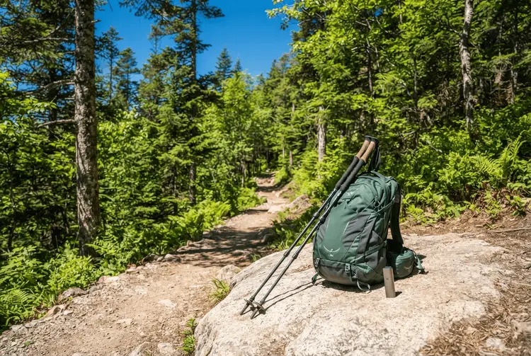 Umfrage: Jeder dritte Wanderer konsumiert Cannabis auf dem Wanderweg