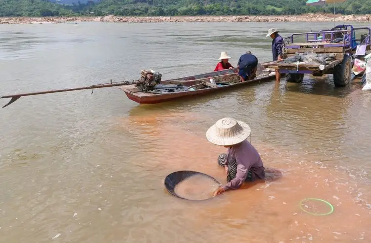 Peru steigert Goldexporte nach China rasant
