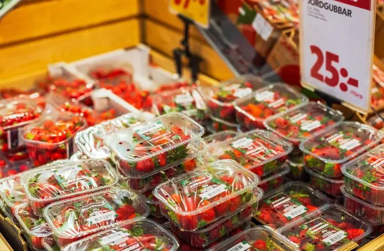 Schlechteste Erdbeerernte seit 30 Jahren