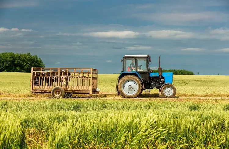 US-Farmer geraten in Bedrängnis