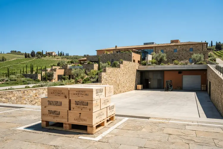 Antinori: Raubüberfall auf Italiens berühmtes Weingut – 5 Millionen Euro Schaden