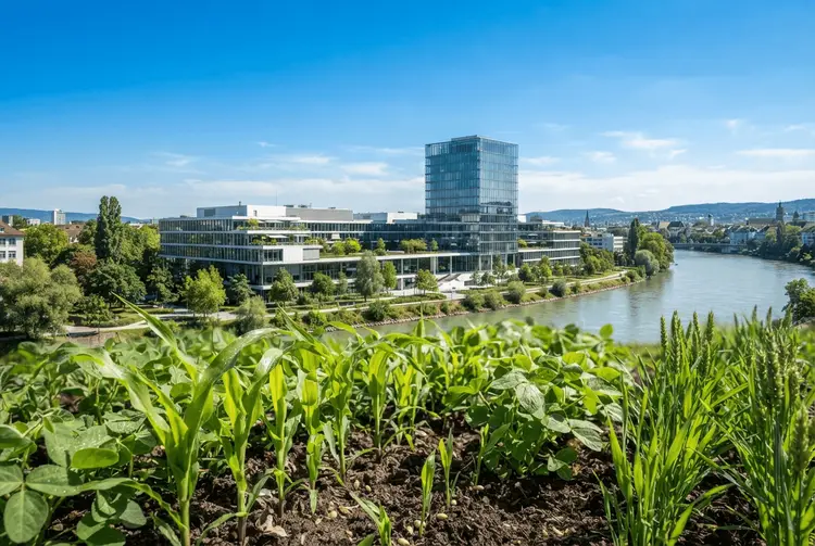 Syngenta beantragt Börsengang in Hongkong über fünf Milliarden Dollar