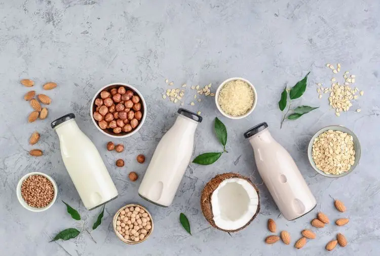 Vielen Dank für Ihr Interesse am Healthfoods-Investing Report