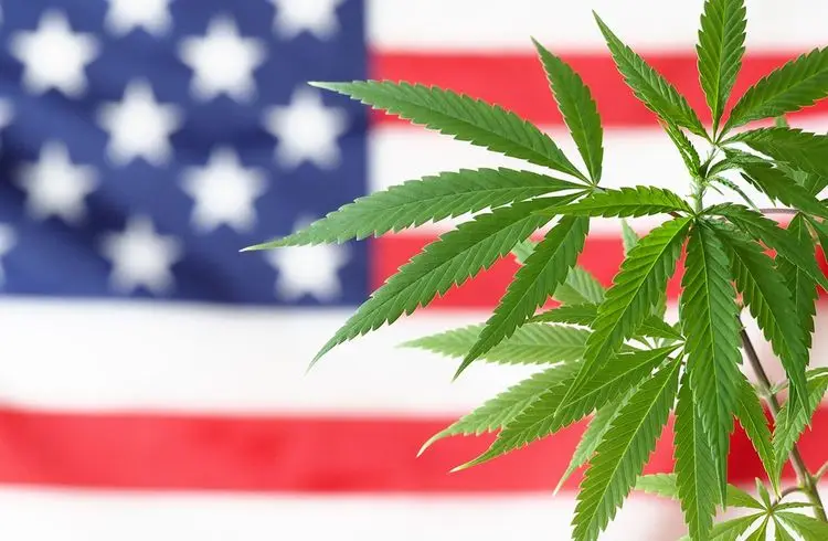 In diesen 6 US-Bundesstaaten können Wähler 2022 Cannabis legalisieren