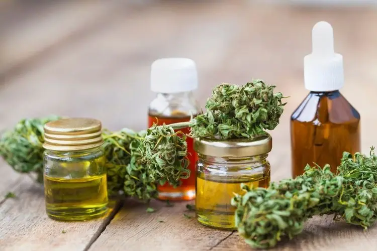 Studie untersucht Cannabis als Therapie für Juckreiz