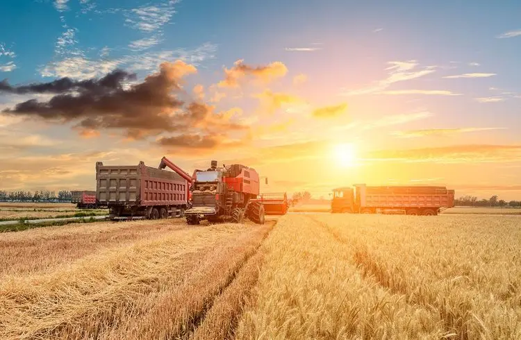 Gewerkschaft erreicht Tarifeinigung in der Landwirtschaft