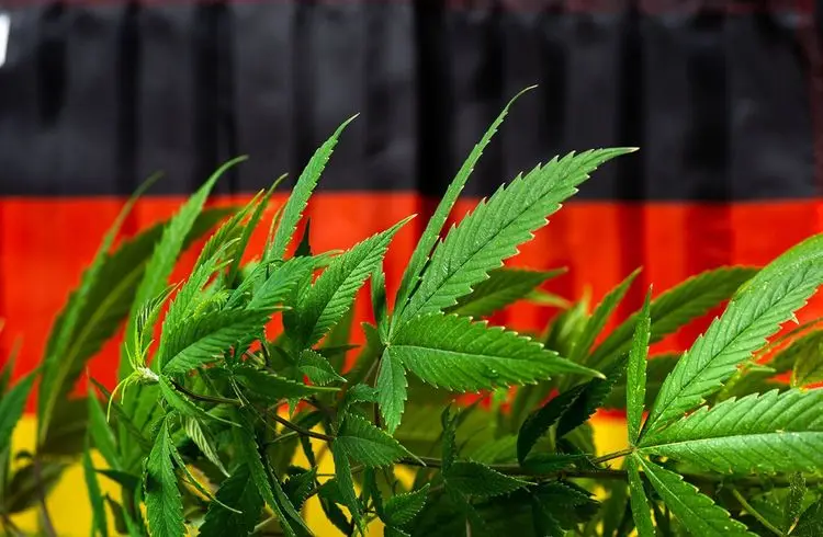 Bundeskabinett beschließt begrenzte Cannabis-Legalisierung
