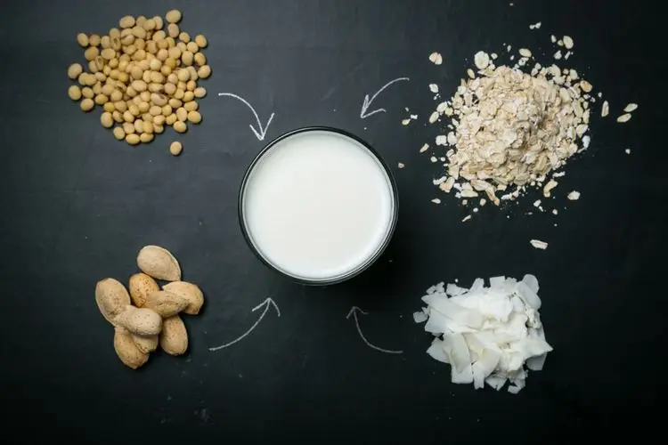 Nachhaltige Nahrungsmittel als Anlagechance - So investiert man in die Plant-Based-Revolution