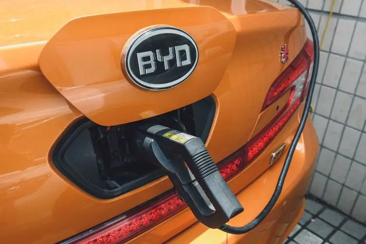 Tesla-Rivale BYD bricht Gewinnrekord