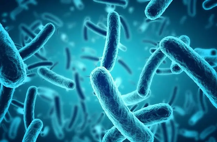 Start-up aus Cambridge will den Code des Lebens neu schreiben