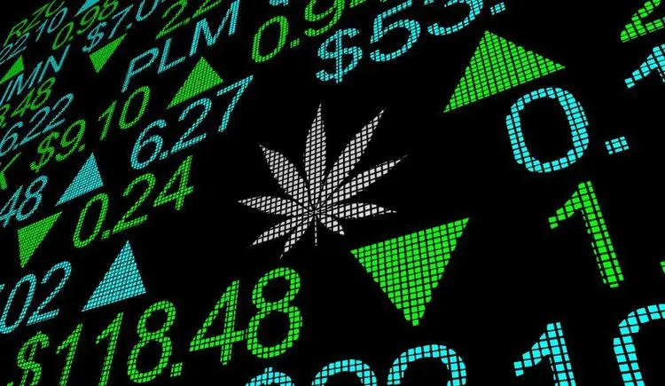 Viele Interessenten für europäische Cannabisaktien