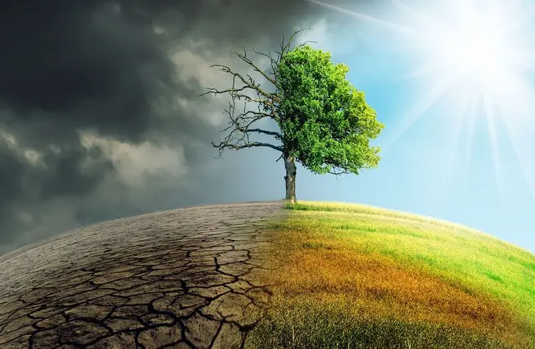 Unterschätzen die Banken den Klimawandel?