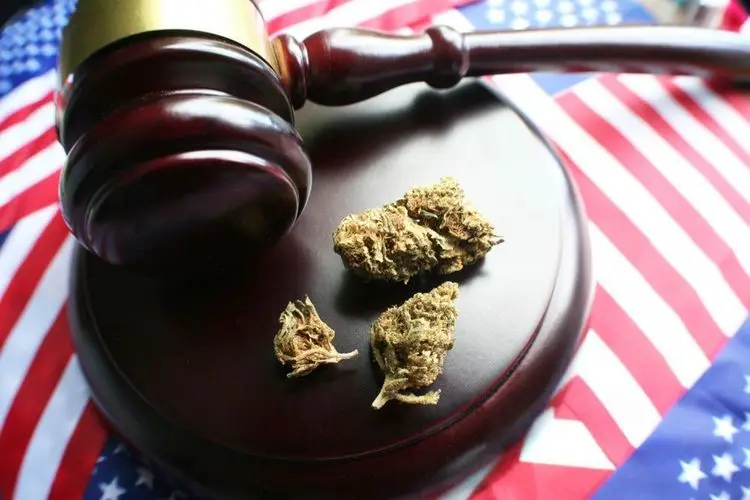 Mississippi läßt Klage gegen Cannabislegalisierung zu