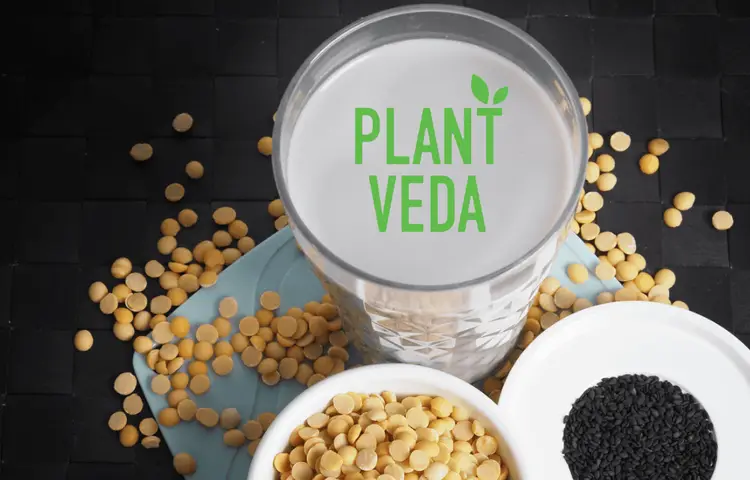 Der perfekte Einstiegszeitpunkt in den Vegan-Boom - diese Aktie profitiert extrem