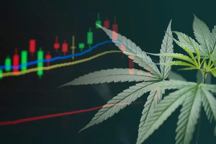 Canopy Growth-Aktien brechen ein